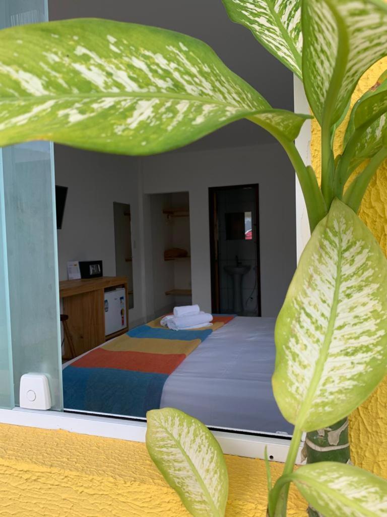 ホテル Suits Praia Bonita Em Milagres São Miguel dos Milagres 部屋 写真